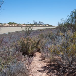 Warriner Creek at Old Ghan Rail Bridge (Oct 2016)