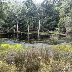 Sinkhole