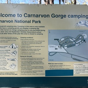 Carnarvon Gorge Camping Area (School Holidays Only)