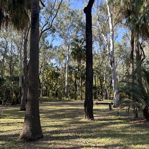 Carnarvon Gorge Camping Area (School Holidays Only)