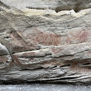 Cathedral Cave