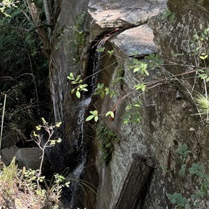 Wards Canyon