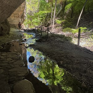 Wards Canyon