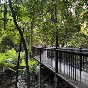 Moss Garden