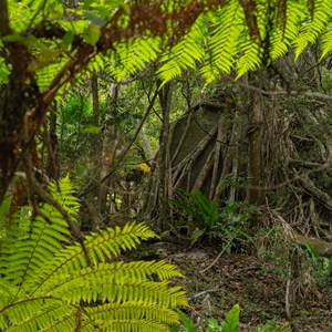 entry to Moss Garden track