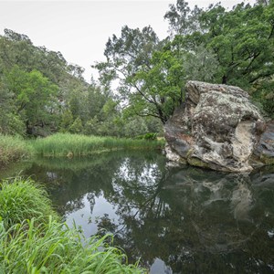 The Rock Pool
