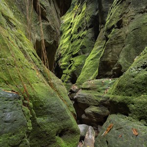 Warrumbah Gorge