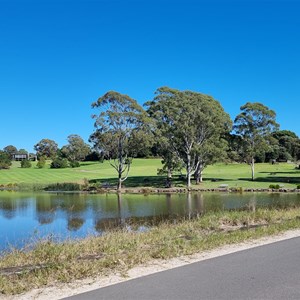 Mount Annan Botanic Gardens