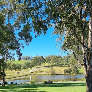 Lakeside lawn.