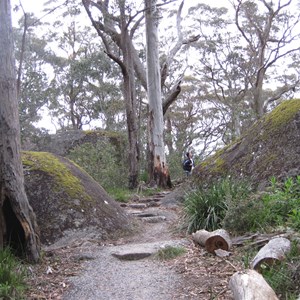 Mossy boulders in the forest