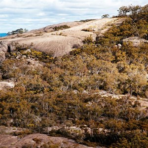 Mount Norman