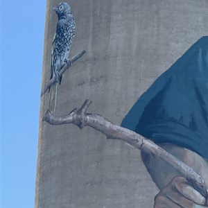 Silo Art - The Water Diviner - Barraba Silos - Fintan Magee