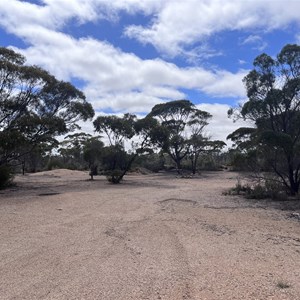 Taylors Maze Campsite