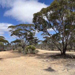 Taylors Maze Campsite