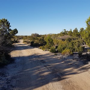 Murninnie Free Bush Camp