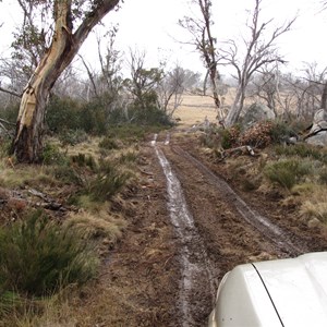 Track near gate