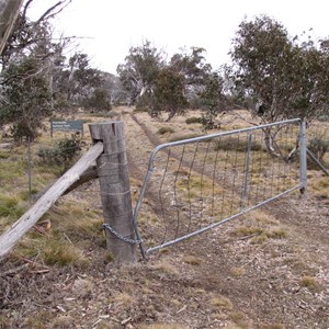 MVO beyond gate into KNP