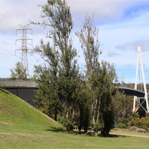 North eastern aspect of the bridge