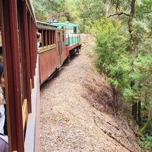 Train under way through Stringers Creek Gorge