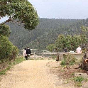 Teddy's Lookout