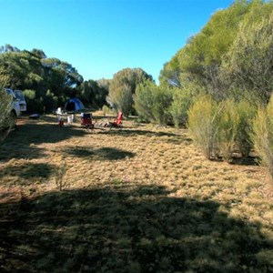 Cosy campsite along woodline track