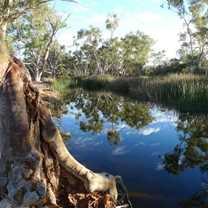 Windich Springs