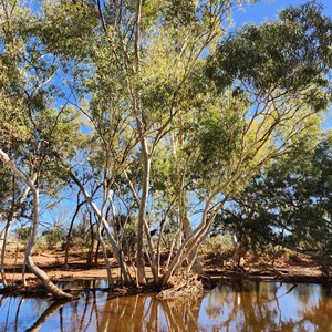 Windich Springs