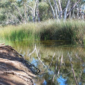 Windich Springs