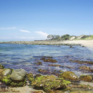 Angourie Beach (credit: Camila Se)