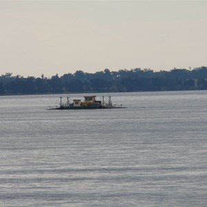 Small vehicle ferry on Clarence River