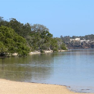 Estuary at Wooli