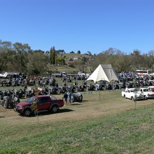 Grey Fergie Muster 2009