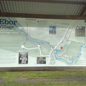 Ebor