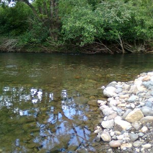 the last bridge 