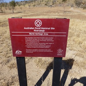 Riversleigh Fossil Site D