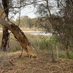 Chiltern Valley Dam No2