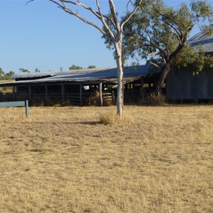 Shirley Shearing Shed Camping Area