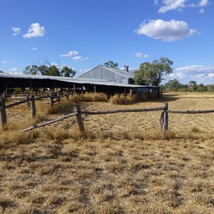 Shirley Shearing Shed Camping Area