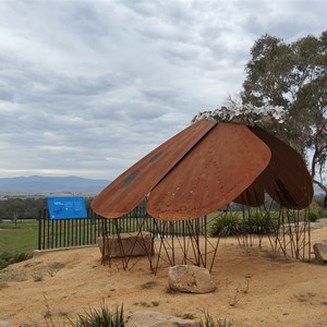 Bogong Moth sculpture.