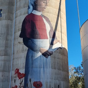 Devenish Silo Art