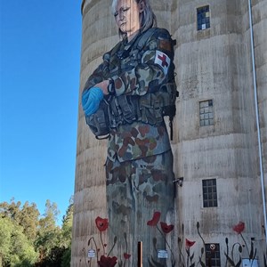 Devenish Silo Art