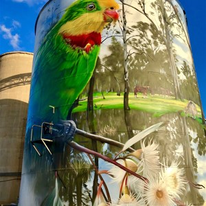 Picola Silo Art