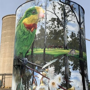 Picola Silo Art