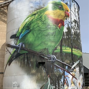 Picola Silo Art