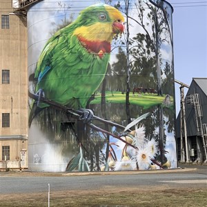 Picola Silo Art