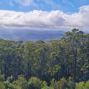 Blue Knob Lookout