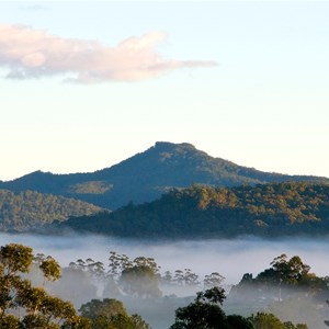 Comboyne Peak viewed from Kendall