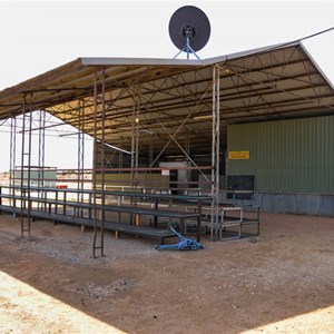 Birdsville Races