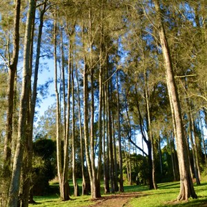 Tinonee Riverbank