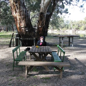 Nelia Gaari Campsites